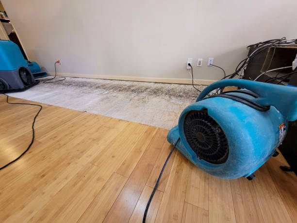 Professional Flood Damage Cleanup technician working in Saukville, WI